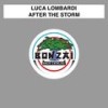 After The Storm (Original Mix) - Luca Lombardi