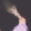 High on Luv - Species