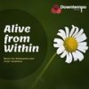 Soaring High - Ambient 11