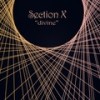 Deluding or Illusive Power - Section X