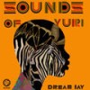 Pass Code - Dream Jay&Epixode