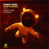 Float in Space (Animus Liber Remix) - Forest Weed&Animus Liber