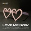 Love Me Now - Anton Rudd