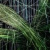 Lothric (Original Mix) - Alex Rampol