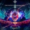 Knights Of The Round Hot Plate (Live Mix) - Shanti&Deedrah
