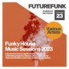 House 2 Disco - Mike Hosking