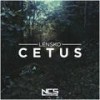Cetus - Laszlo