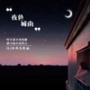 夜色城南 - DJ小鱼儿