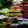 The Rhythm (Alex Patane' Remix) - Alex Patane'&Mr. Guelo