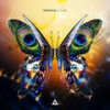 Bloom - Tritonal&Teal Douville&Chad Henry Cisneros&David Anthony Reed