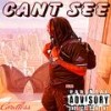 Cant See (Explicit) - Cordless