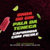 Na Onda do Gin - Pala da Tcheca - Caipirinha Com Picolé (Explicit) - MC Kitinho&MC Luiggi&DJ TC&DJ Lukas Matheus&Silva MC&DJ DEIVÃO&DJ Salatiel