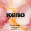 Revolution (Ryan Dupree Remix) - Simon Jetzke