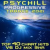 Psy Chill Progressive Trance 2021 Top 40 Chart Hits, Vol. 6 (DJ Mix 3Hr) - DoctorSpook