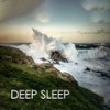 When It Suddenly Stops (Original Mix) - Sounds Of Nature