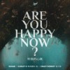 Are You Happy Now - 希林娜依高&R3HAB&Crazy Donkey金大智