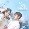 여우야 - 조이