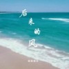 后来的风 - 陆三三