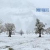 Gentle Voices - Azeotrop