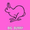 Evening On The Beach (Big Bunny Remix) - Rousing House&Big Bunny