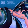 Moon Moods (Original Mix) - Phonique&Belkina