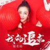 我的追求（DJ光音坊版） (伴奏) - 张冬玲
