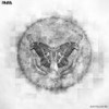 Sun Follow Me - Pnfa