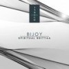 Spiritual Nrityaa (Original Mix) - Bijoy