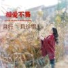 相爱不易且行且珍惜 (伴奏) - 雨中百合
