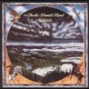Birmingham Blues (Album Version) - The Charlie Daniels Band
