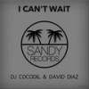 I Can't Wait (Original Mix) - David Diaz&DJ Cocodil