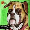 Prophet (Explicit) - Johnny Golden