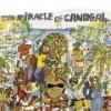 Carlito Marron - Carlinhos Brown&La Banda de Carlito Marron
