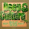 I Like It (Lea & Machuca Remix) - Myles Bigelow&Gary Michael Wade