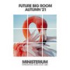 Burning Mind (Big Room Vip Mix) - Alexandra Schwarz&Unknown Singer