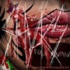 N.c.a. (Explicit) - Shivers