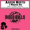 I Wanna Be (Original Mix) - Aaron North