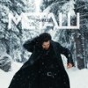 Metalli - Manuel