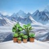 lyrical landscapes. (feat. N.Lombardo'02) (Explicit) - Hoku&N.LOMBARDO'02