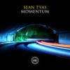 Momentum (Extended Mix) - Sean Tyas