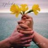 Thanks - Splits