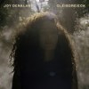 Gleisdreieck - Joy Denalane