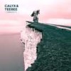 Skank (VIP Mix|Explicit) - Calyx & Teebee