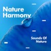 Near The Sea - Sounds Of Nature