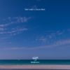 Evolving Memories - Ritscher
