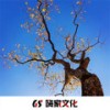 你是我的风景 (BGM) - 精彩强Sir