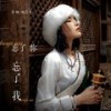 忘了你忘了我 (DJ沈念版伴奏) - 轩姨(相信光)