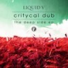 Watershell - Critycal Dub&Level 2