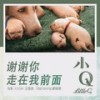 谢谢你走在我前面 - 梁咏琪