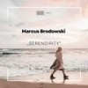 Serendipity - Marcus Brodowski